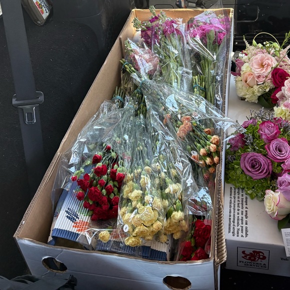 ✏️Back To School At Lotus House✏️ - Picture 17 of 17